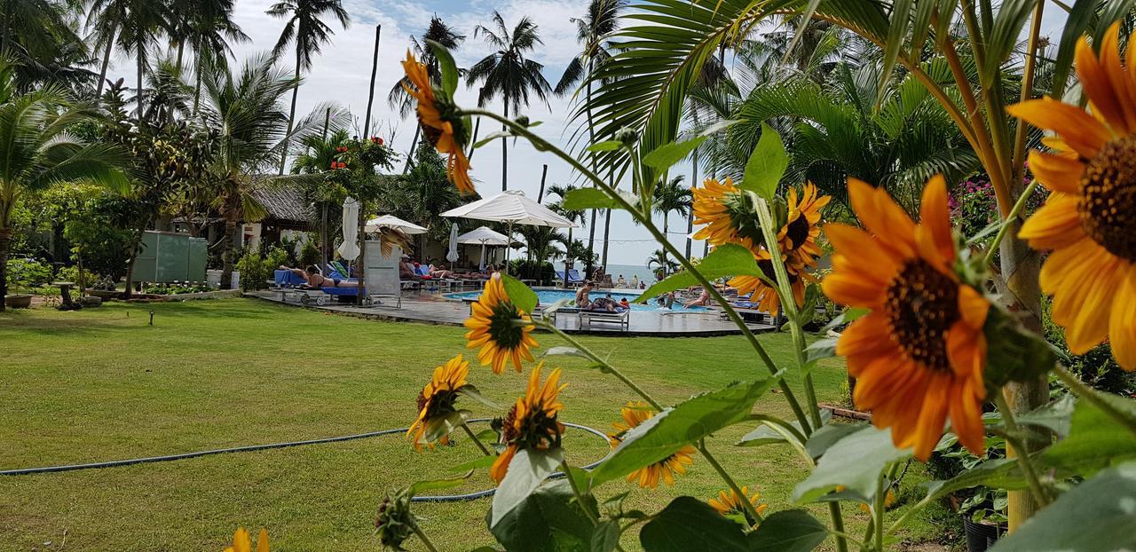 Sun & Sands Beach Hotel Mui Ne Bagian luar foto