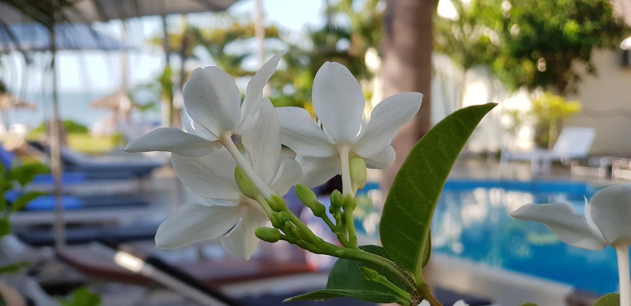 Sun & Sands Beach Hotel Mui Ne Bagian luar foto